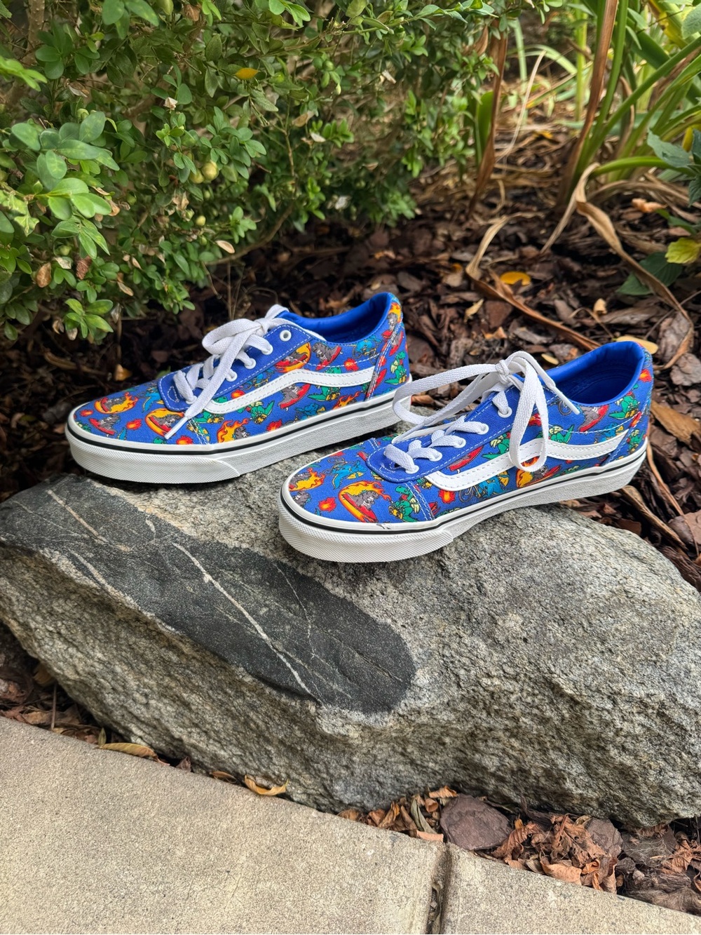 Vans Ward Dragon Explorer Sneakers Youth Sz 5 NWOT - Picture 6 of 8